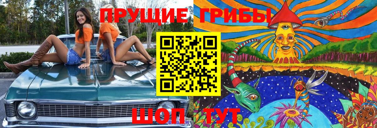 Галлюциногенные грибы Cubensis Уссурийск