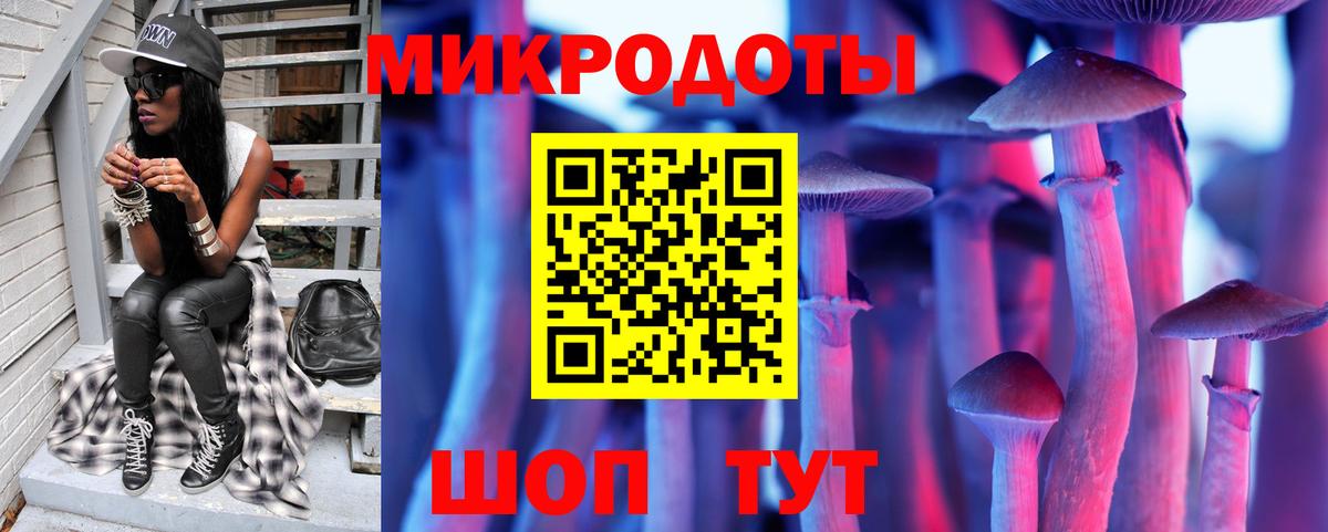 Уссурийск  Галлюциногенные грибы Psilocybe  Вход с VPN 